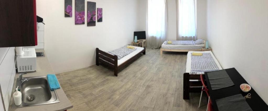 Apartments Near The Center With Privat Parking Brno Exterior photo
