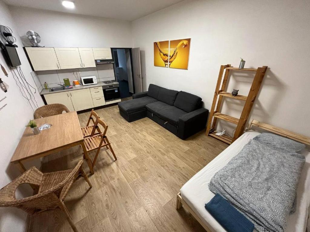 Apartments Near The Center With Privat Parking Brno Exterior photo